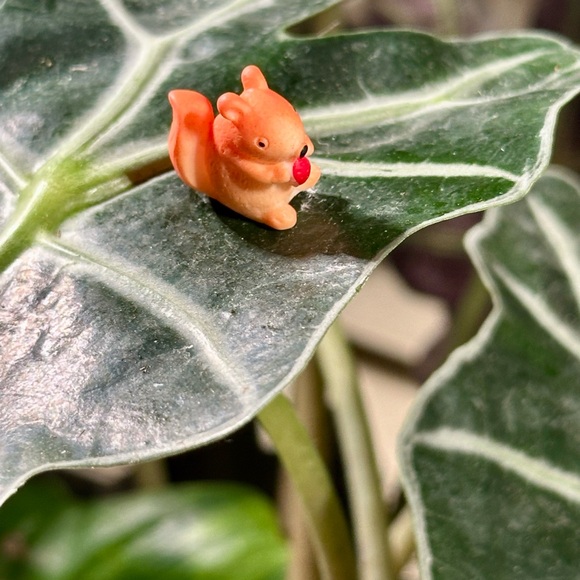 - 🍃20 pack plant magnets🍃 - Picture 11 of 15